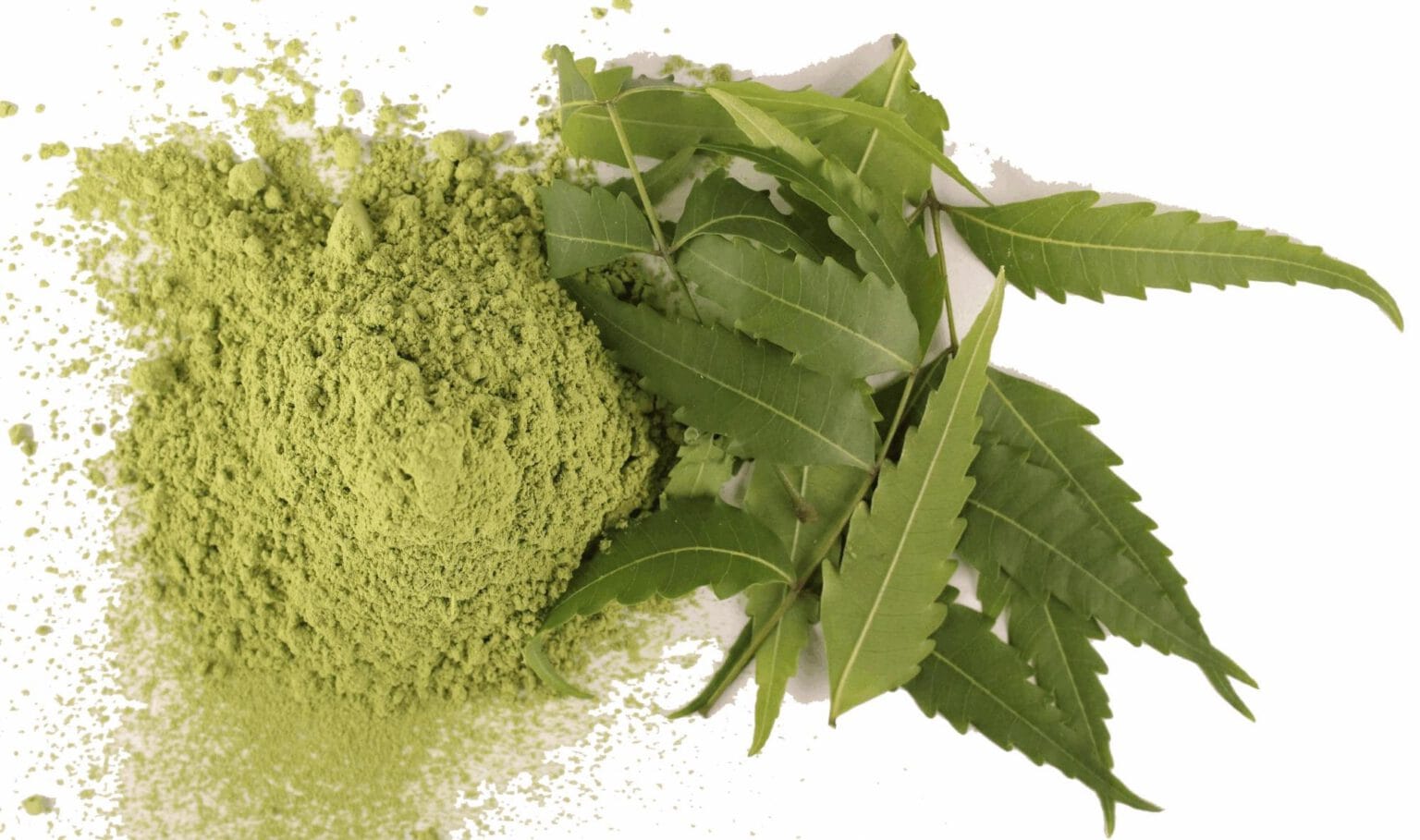 Feuilles De Neem Séchées En Poudre - Bio, Ayurvédique, 10g à 200g