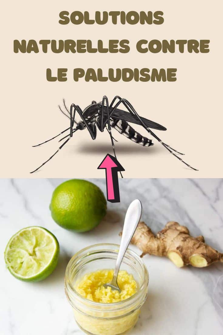 solution naturelle Paludisme