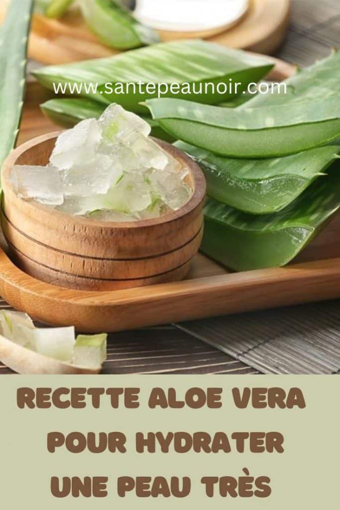 recette aloe vera pour hydrater la pea seche
