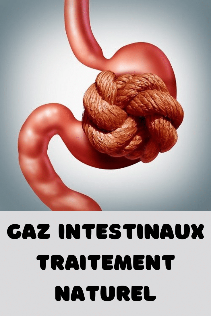 gaz intestinaux traitement naturel