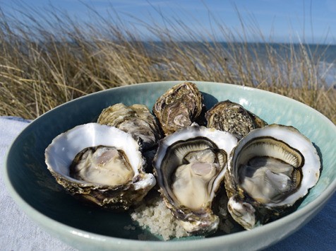 Les huîtres aident à augmenter la taille des organes masculins