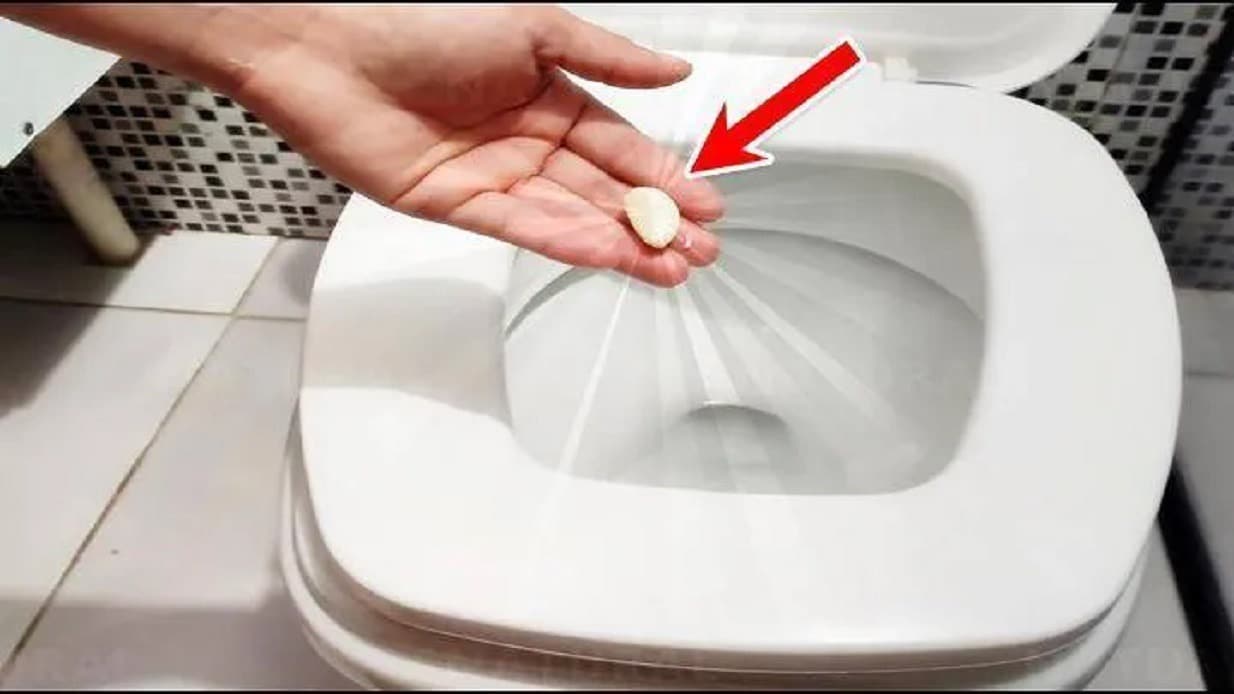ail dans les toilettes