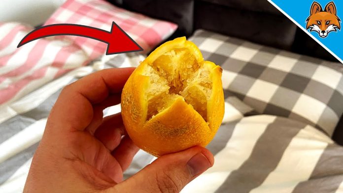citron pres du lit