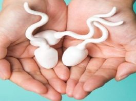 éliminent le sperme après rapport sexuel