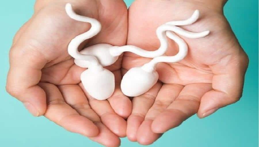 éliminent le sperme après rapport sexuel