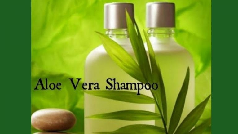 Comment Faire Des Shampoing à Aloe Vera à La Maison