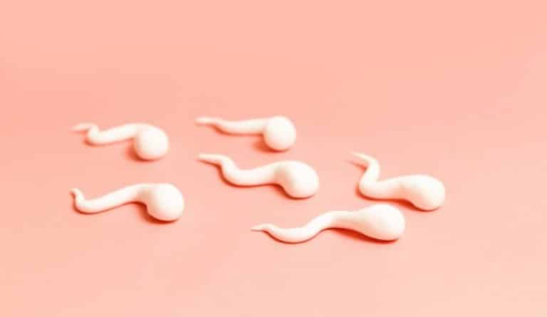 8 façons simples d'améliorer la qualité et le nombre de spermatozoïdes