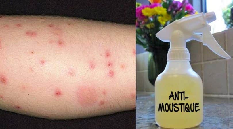 Recette anti-moustique maison avec du ctron. Guide pour fabriquer un spray répulsif anti-moustique naturel. anti-moustique naturel citron.