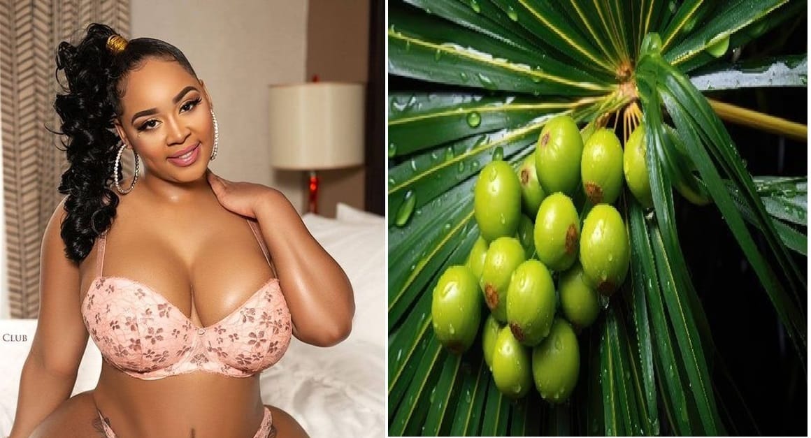 herbes qui augmente la taile des seins