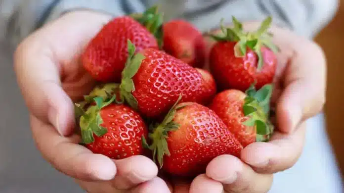 bienfaits des fraises