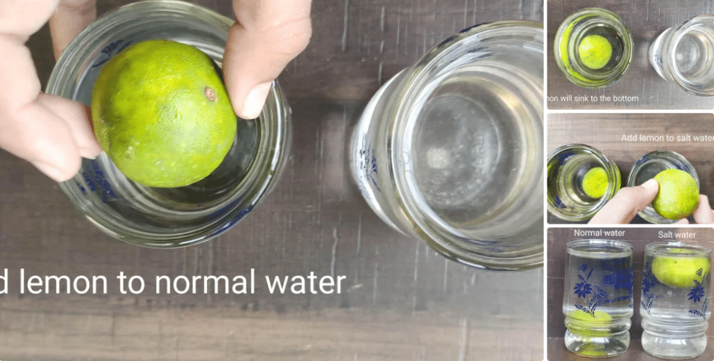 Ajoutez des citrons à l'eau normale et salée