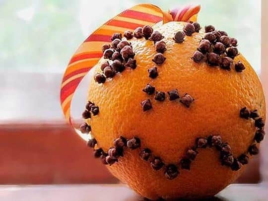 clous de girofle sur les oranges
