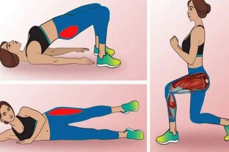 exercises pour muscler les cuisse