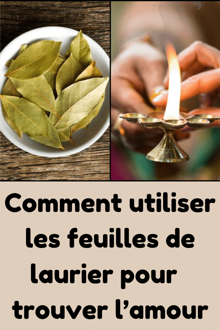 5 façons magiques d'utiliser les feuilles de laurier pour manifester l — free download