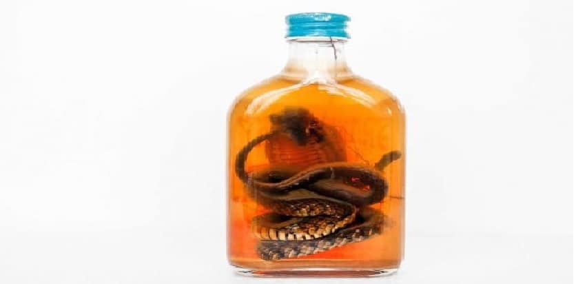 huile de serpent