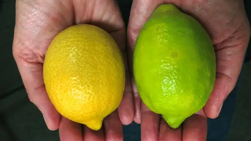 pouvoir spirituel du citron