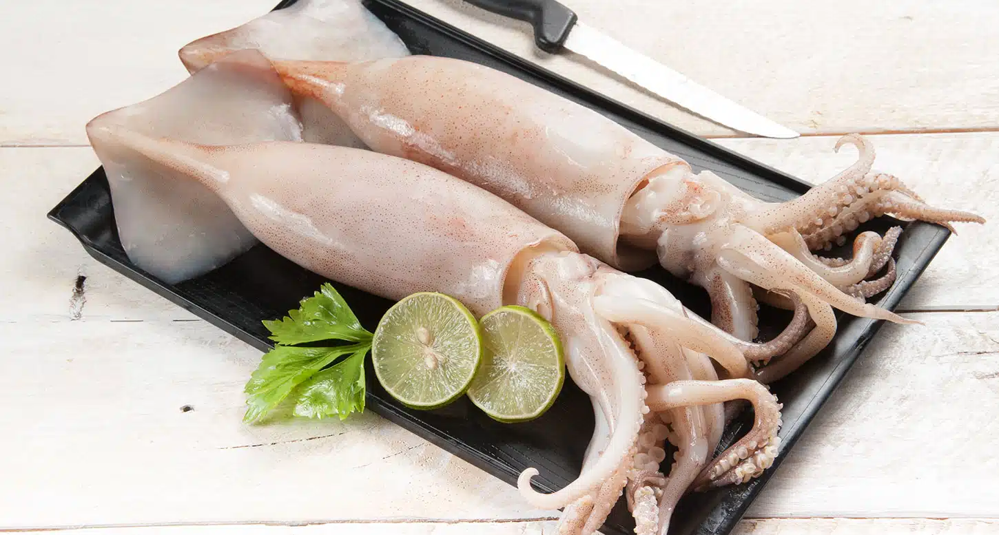 Calamars pendant la grossesse