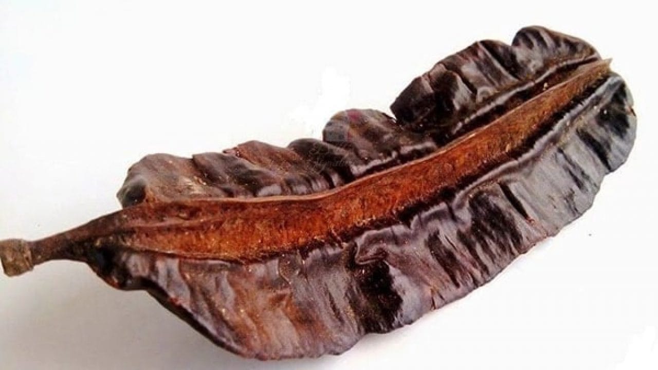 Fruit 4 côtés