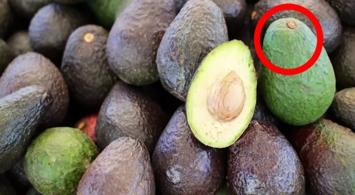 comment savoir si l'avocat est bon ou pas