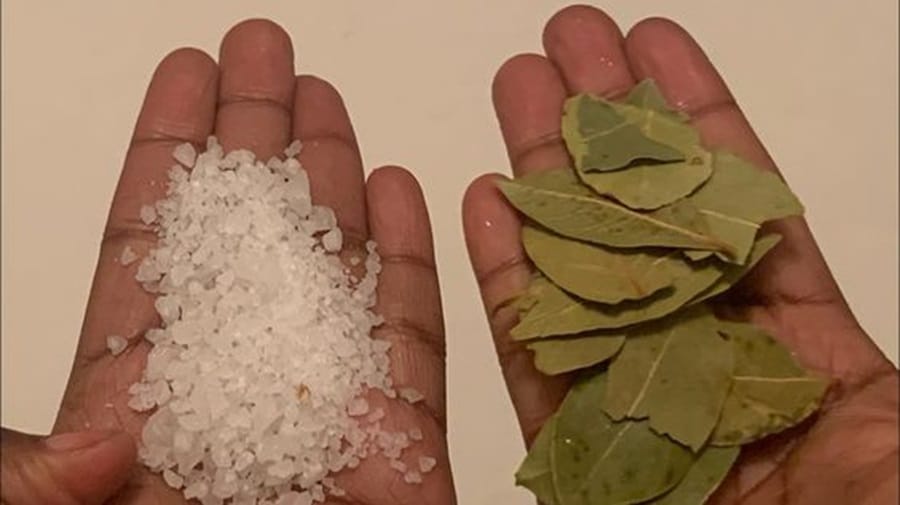 melangez laurier et le sel