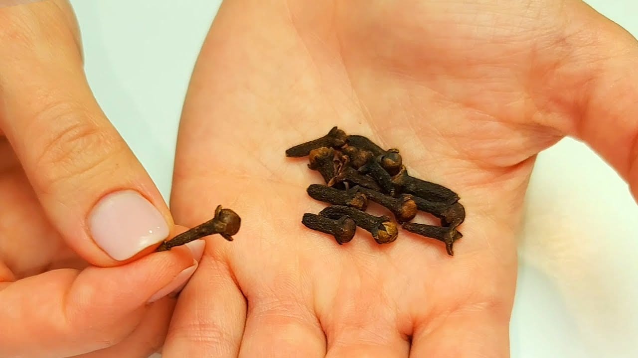 clou de girofle pour la clarté et